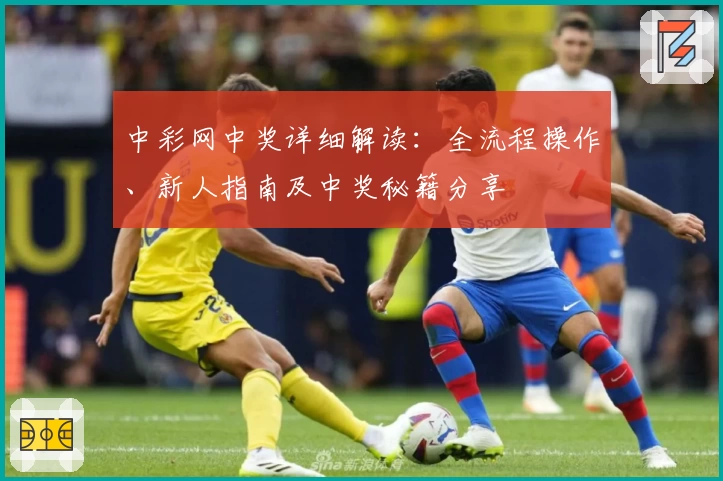 中彩网中奖详细解读：全流程操作、新人指南及中奖秘籍分享