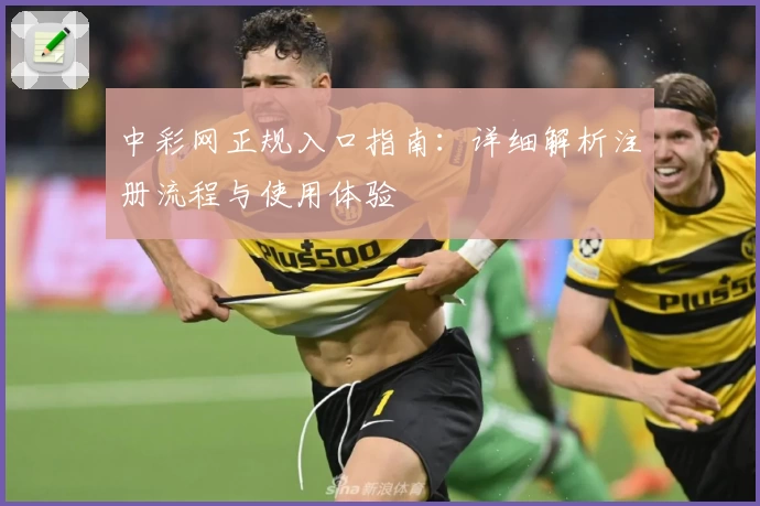 中彩网正规入口指南：详细解析注册流程与使用体验