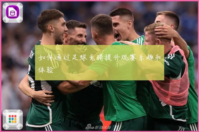 如何通过足球竞猜提升观赛乐趣和体验
