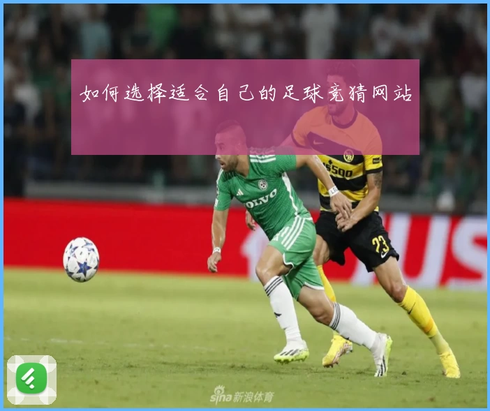 如何选择适合自己的足球竞猜网站