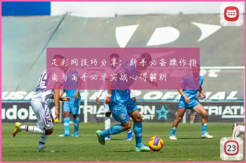 足彩网技巧分享:新手必备操作指南与高手必学实战心得解析